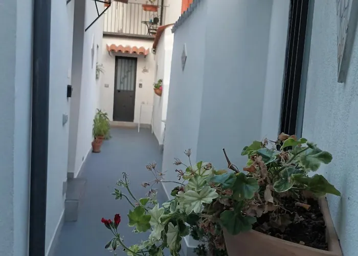 La Corte 3 Apartament *